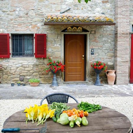 Gricignano Casa Donella B&B מראה חיצוני תמונה